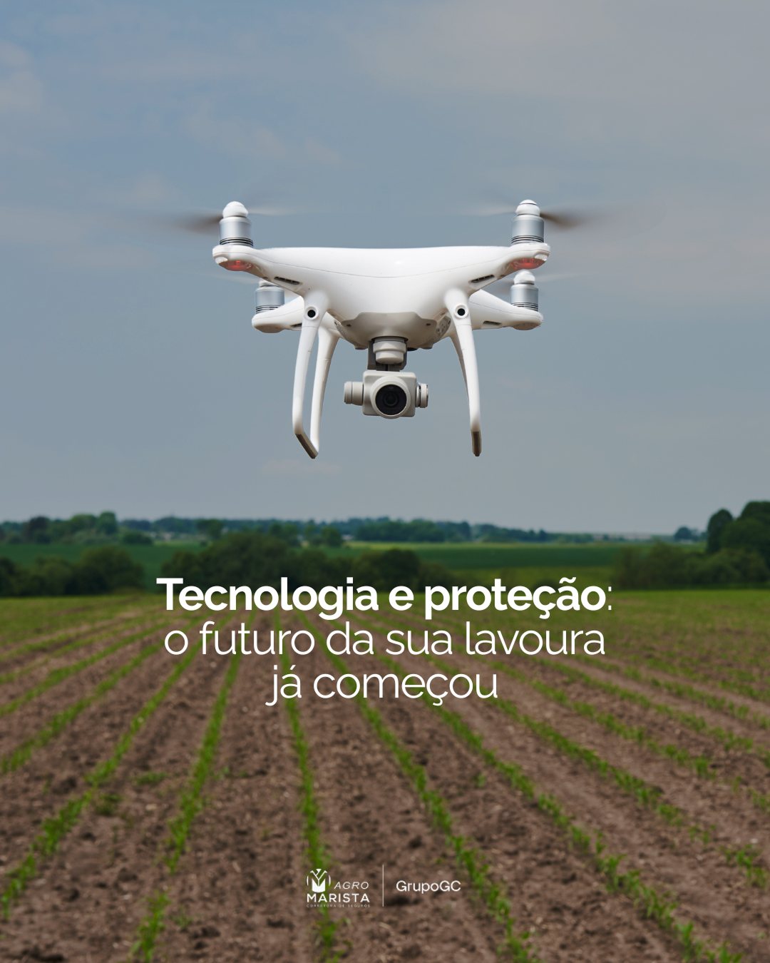 Seguro Agrícola Agro Marista